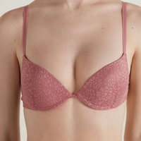 //jirorwxhknpqlo5m.ldycdn.com/cloud/jkBprKrkllSRjkqnjmnrjo/Fancy-Lace-Bra-for-Lady.png