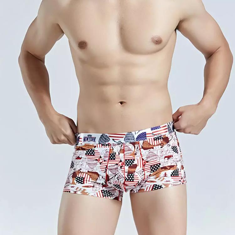 Man Cozy Boxer Shorts